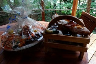 Boomhut Kusten van Armor