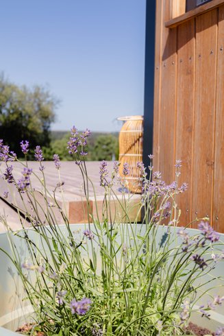 Hébergement AbracadaRoom : « Tiny House » Nature&calme • Pétanque&barbecue - Image 2