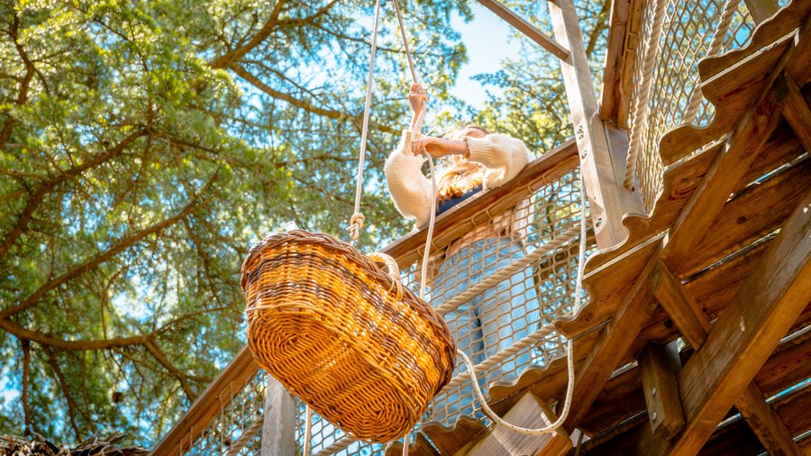 Hébergement AbracadaRoom : Tourterelle - Image 9