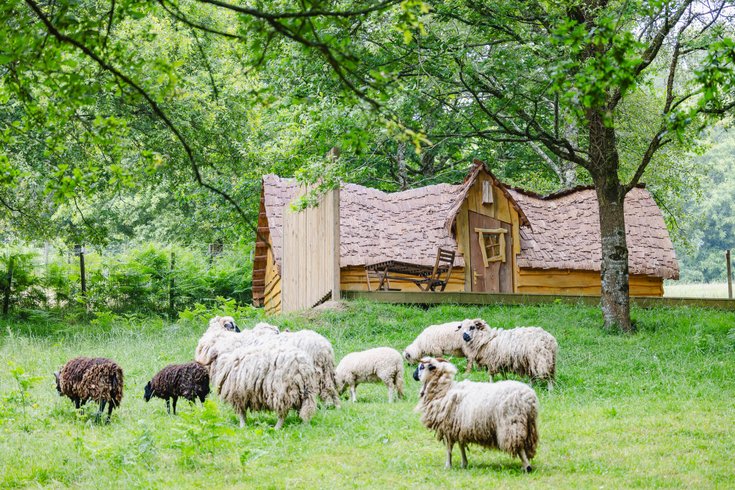 Hébergement AbracadaRoom : CABANE ENCHANTEE - Image 3
