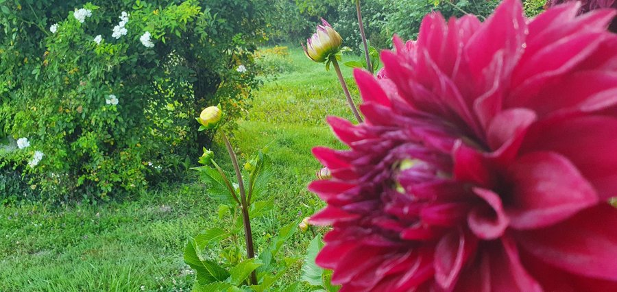 Domaine AbracadaRoom : Gite La Petite Clavelie - Image 8