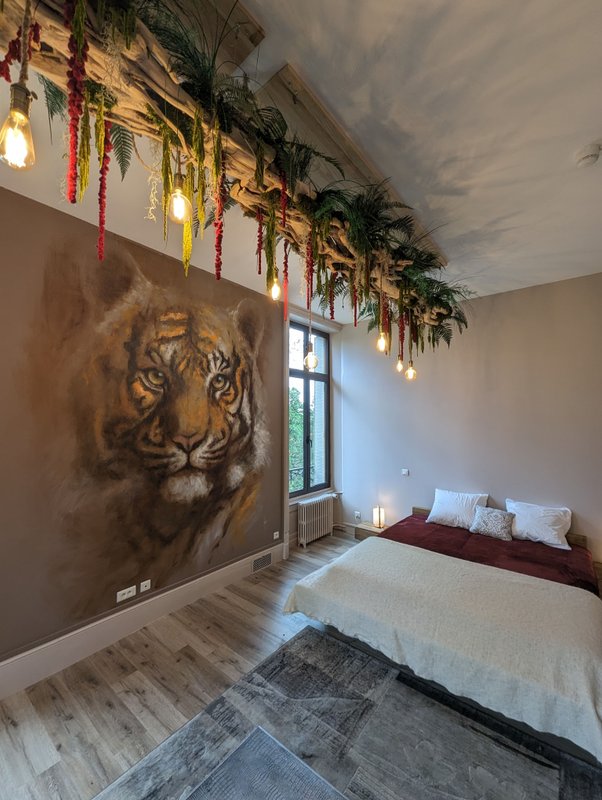 Chambre "Rêve de Tigre" à Parentignat (6)