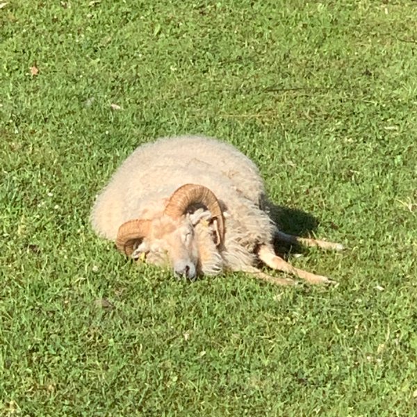 Domaine AbracadaRoom : Domaine Jean-Got - Image 21