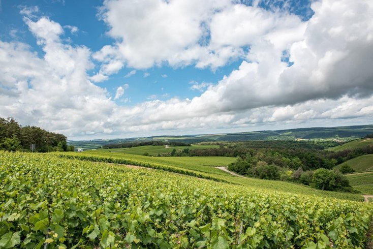 Domaine AbracadaRoom : La Réserve de l'Aube - Image 25