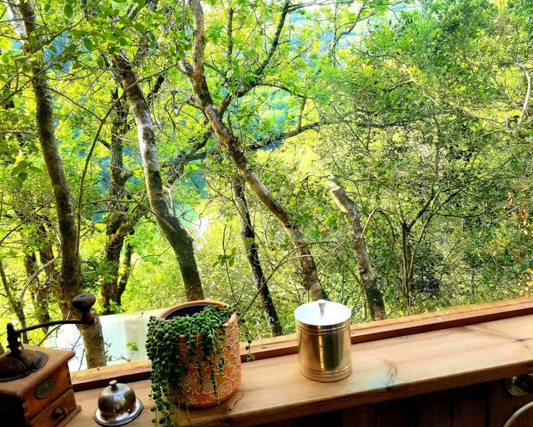 Hébergement AbracadaRoom : Cybèle, bulle perchée de la vallée - Image 18