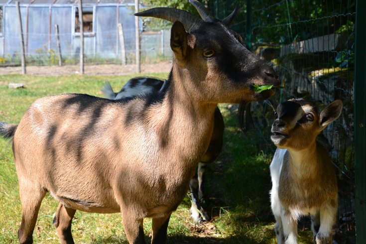 Domaine AbracadaRoom : Les Nuits du Verger - Image 4