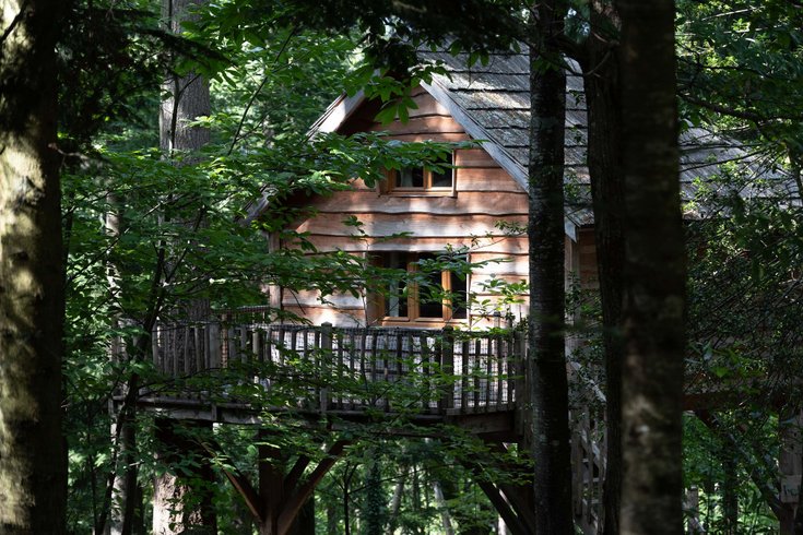 Hébergement AbracadaRoom : Cabane Ours - Image 2
