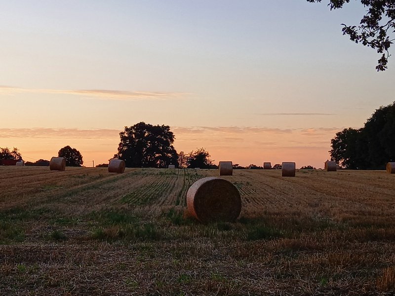 Domaine AbracadaRoom : Glamping La Fraventure - Image 30