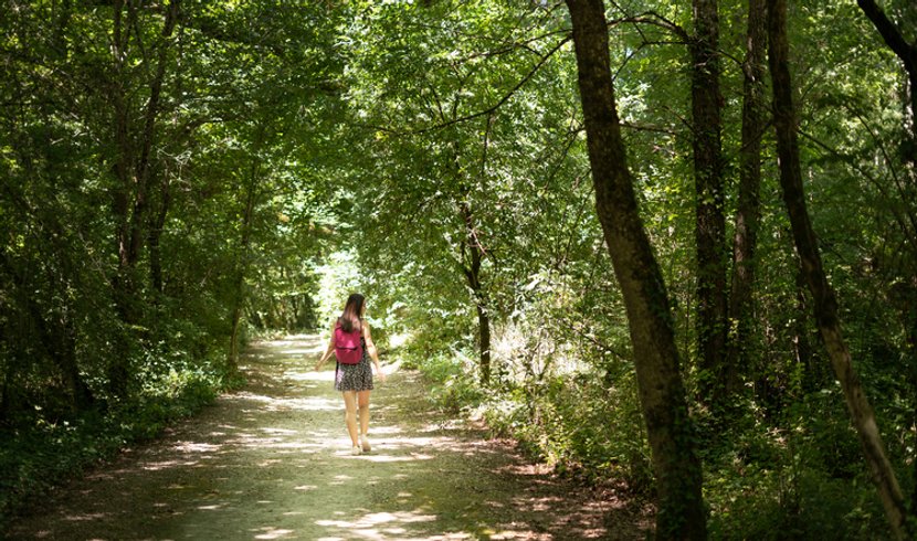 Domaine AbracadaRoom : Chrysalide Saint Martin - Image 10