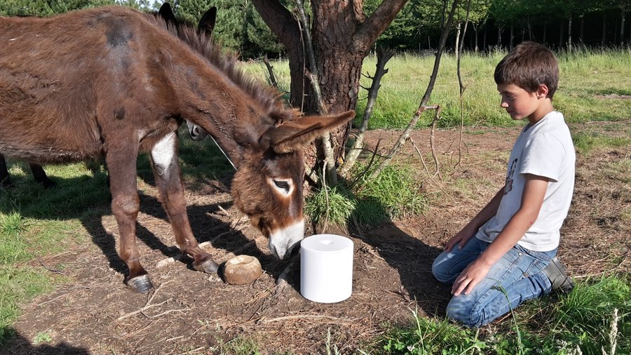 Domaine AbracadaRoom : Domaine du Vigneau - Image 2