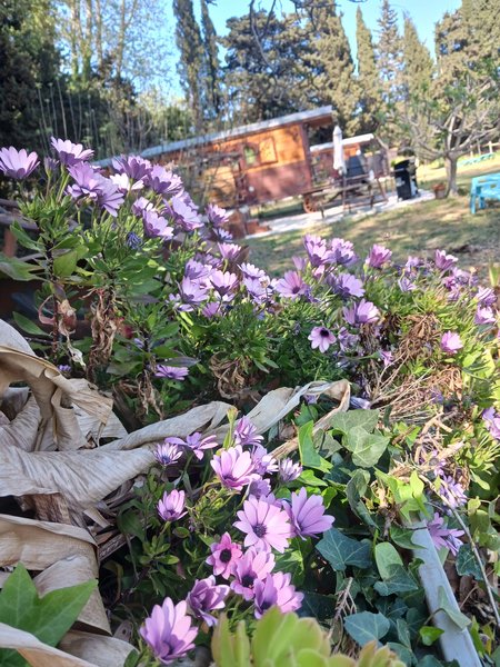 Hébergement AbracadaRoom : La Roulotte Spa bohème - Image 4