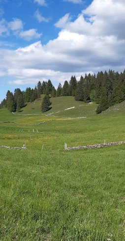 Hébergement AbracadaRoom : Les Logettes de Caroline, Ecolodge & Bain Nordique - Image 37