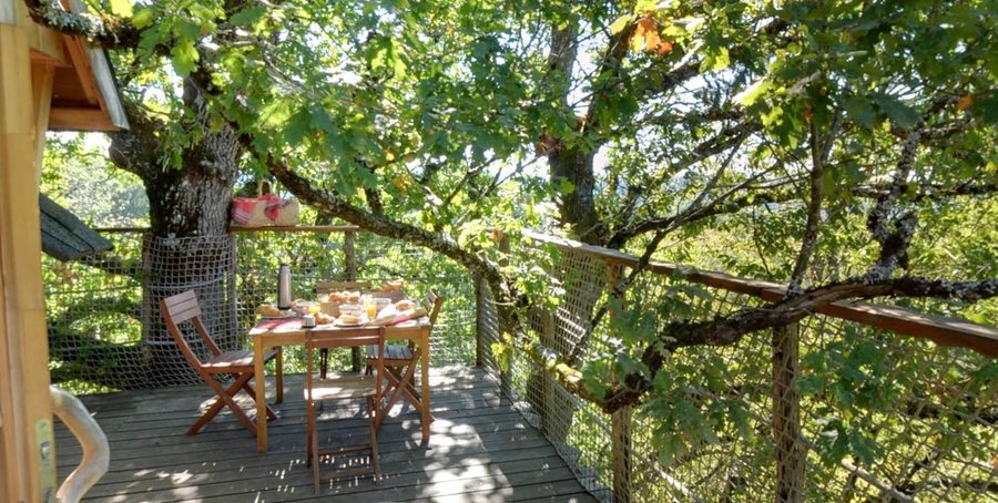 dejeuner-cygne-chanteur-vao