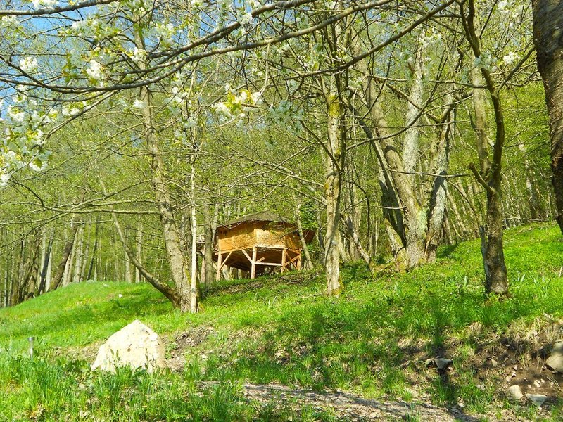 Hébergement AbracadaRoom : la Cabane l'Appel de la Forêt - Image 1