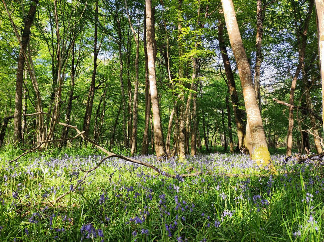 La Démaillère, Bain nordique & immersion à Lailly En Val (14)