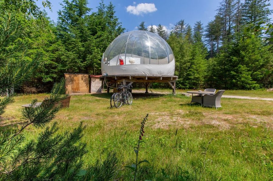 Domaine AbracadaRoom : Le Corbier, la Bulle des Alpagas - Image 4