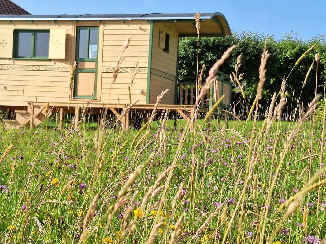 Roulotte & Respire à Foussemagne (5)
