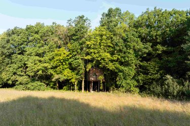 Cabane Spa Nid des Bois à St-Léger-Aux-Bois (1)
