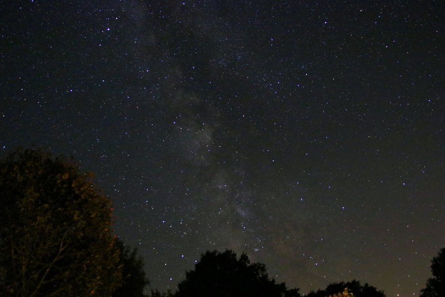 Hébergement AbracadaRoom : Un p'Tiny dans le jardin - Image 15