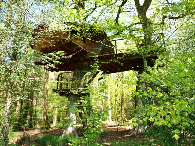 Hébergement AbracadaRoom : Cabane Jonquille - Image 3