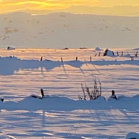 Domaine AbracadaRoom : Buron Cœur D'Aubrac - Image 7