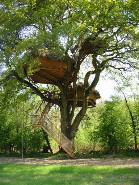 Hébergement AbracadaRoom : Chêne Fou - Image 8