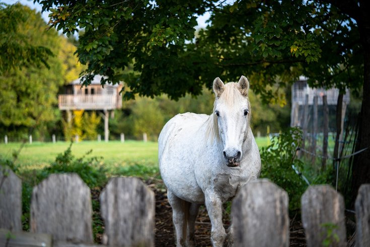 Domaine AbracadaRoom : Family Ecolodge - Image 15