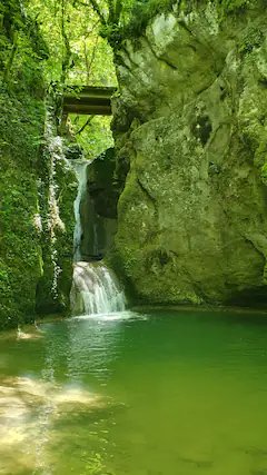 Domaine AbracadaRoom : Roulotte du Jura Vert - Image 6