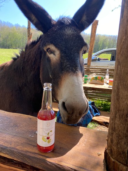 Hébergement AbracadaRoom : Tipi Lakota - Image 27