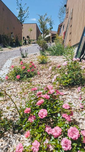 Domaine AbracadaRoom : DOMAINE DES 7 CEPAGES - Image 19