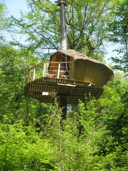 Hébergement AbracadaRoom : Cabane des Gibbons - Image 5