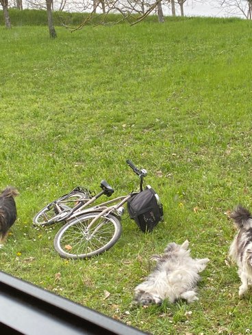 Hébergement AbracadaRoom : Le Perchoir du Vercors - Panorama sur les Cimes - Image 41
