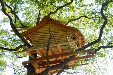 uthando cabane dans les arbres