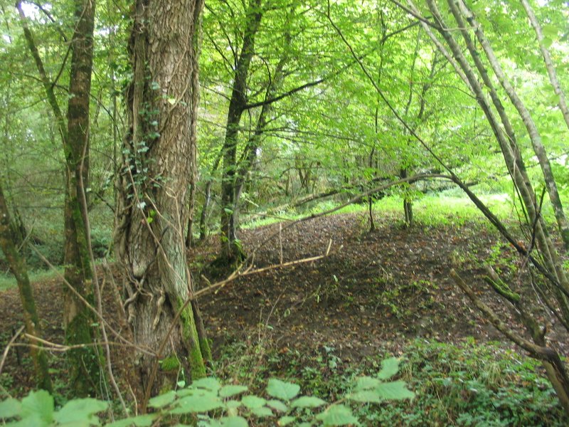 Domaine AbracadaRoom : Les cabanes, autour du tilleul - Image 3