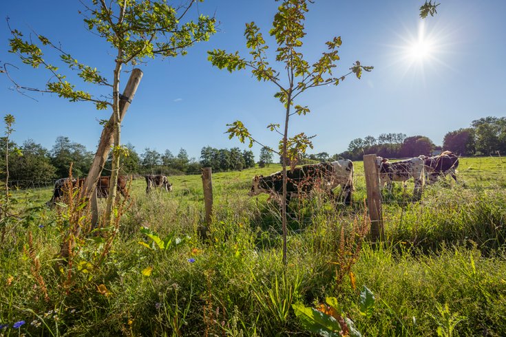 Domaine AbracadaRoom : Seasonova - Domaine Saâne et Mer - Image 18