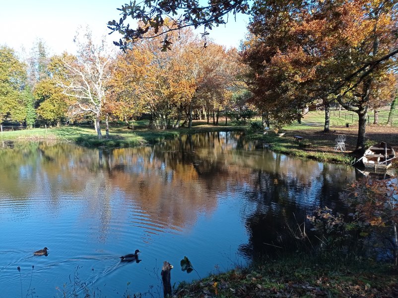 Domaine AbracadaRoom : Le Ranch Amadeus - Image 20