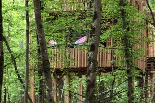 Loire Valley Lodges - Hôtel