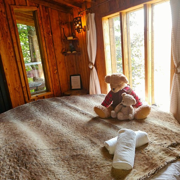 Hébergement AbracadaRoom : L'Ourson Love - Image 13