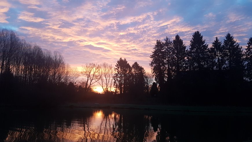 Domaine AbracadaRoom : Le Coeur de Mormal - Image 1