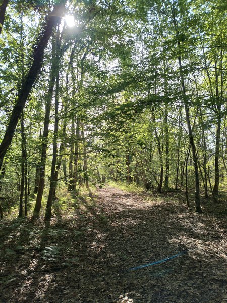 Hébergement AbracadaRoom : La roulotte de Naturospirit - Image 15