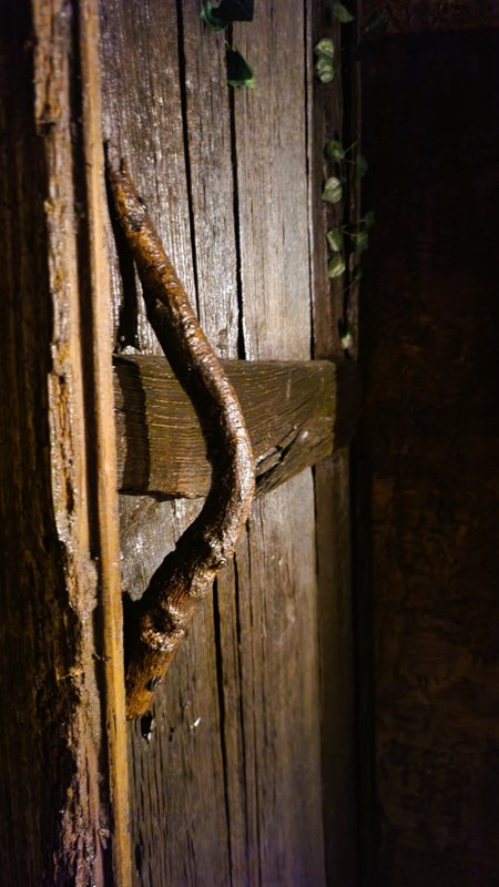 L'auberge du Trône à Saint-Étienne (16)