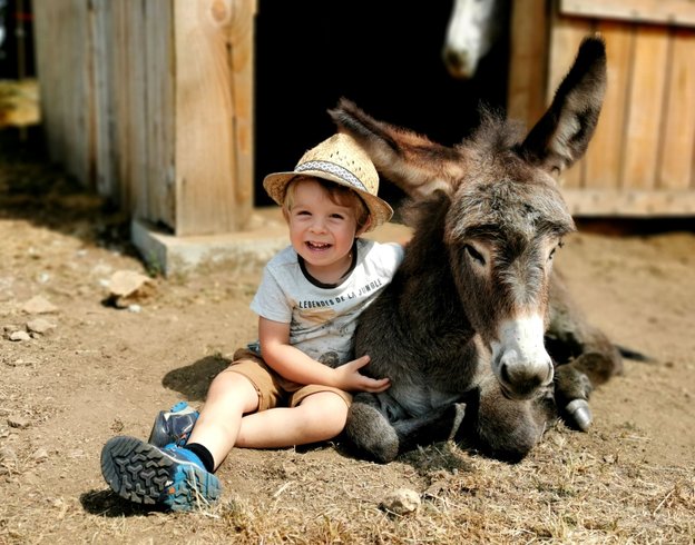 Hébergement AbracadaRoom : Yourte Immersion Nature - Image 8