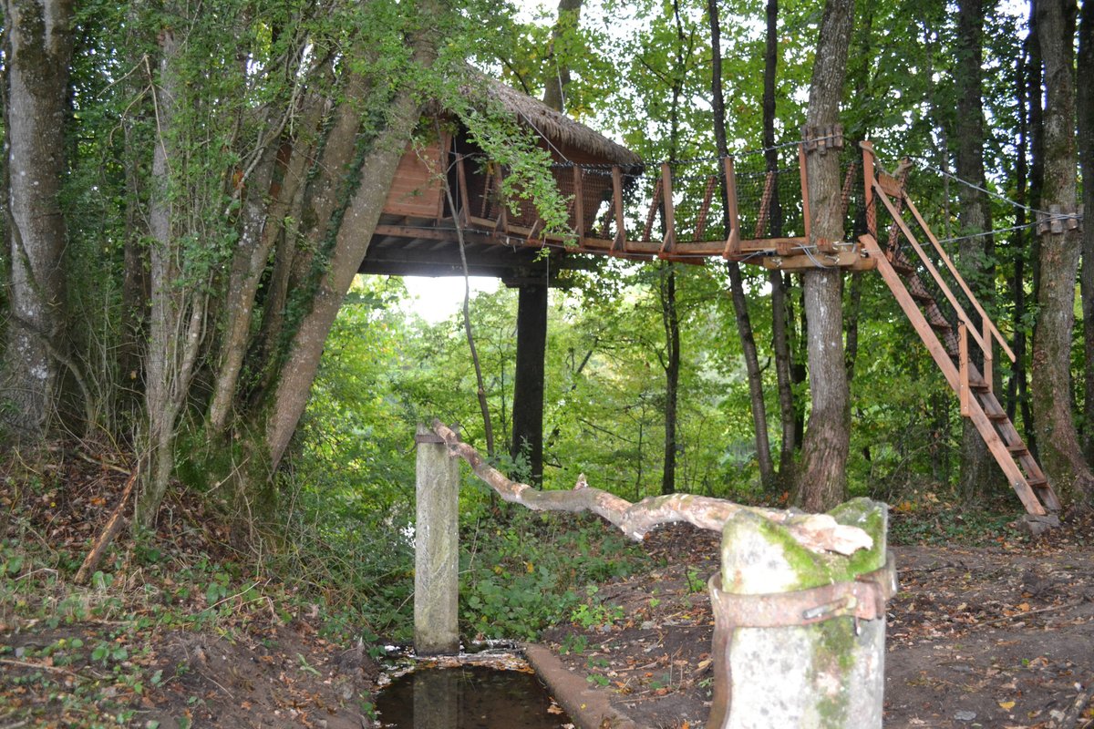 Cabane Lisbonne à La Baconnière (6)