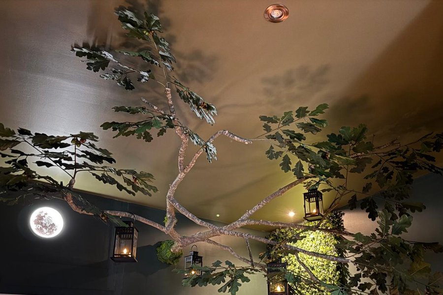 Everwood – Forêt enchantée, balnéo & sauna — photo 2