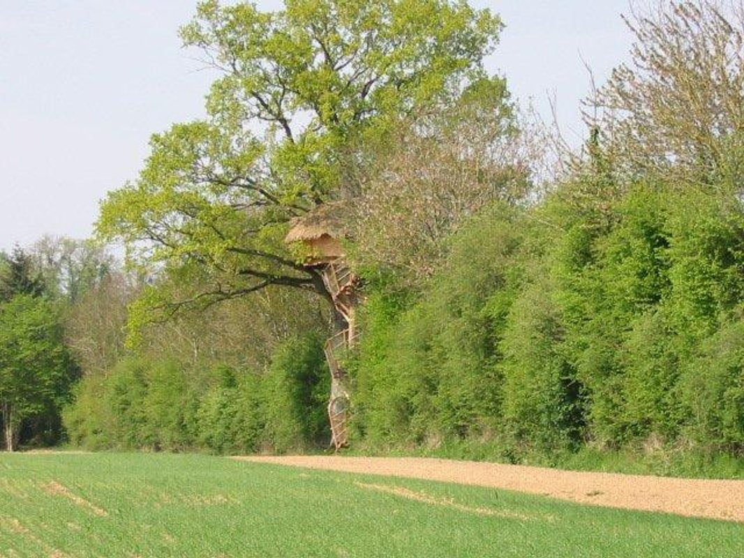 Fermette à Moulicent (2)