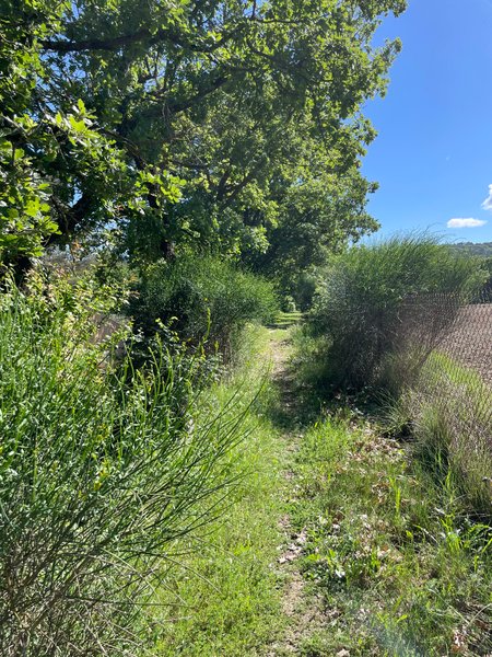 Hébergement AbracadaRoom : Le Nid en Provence - Image 27