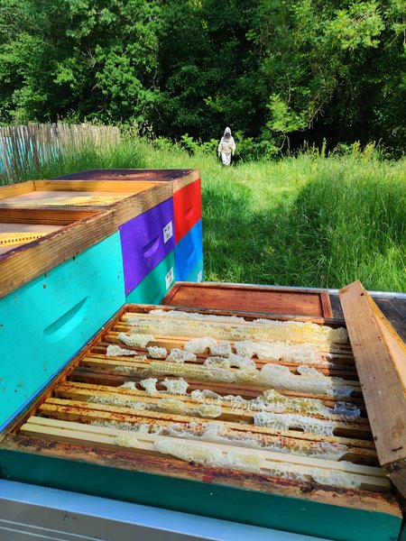 Domaine AbracadaRoom : Le Domaine des Anges - Image 8