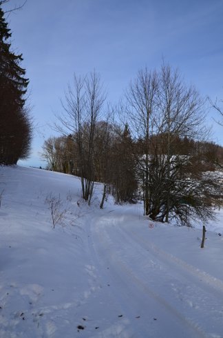 Domaine AbracadaRoom : Monchâteau étoilé - Image 34