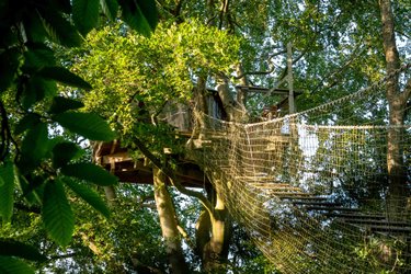 Cabane Grand Duc à Saint Pierre Azif (1)