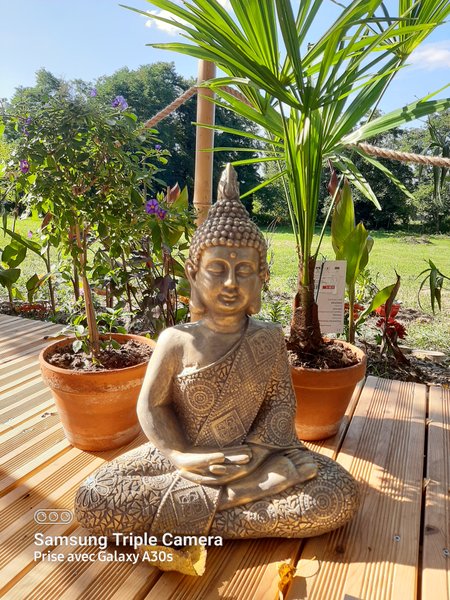 Domaine AbracadaRoom : L'Arche Enchantée - Image 4